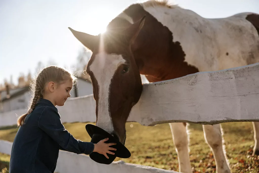 Young child feeding horse out of hat